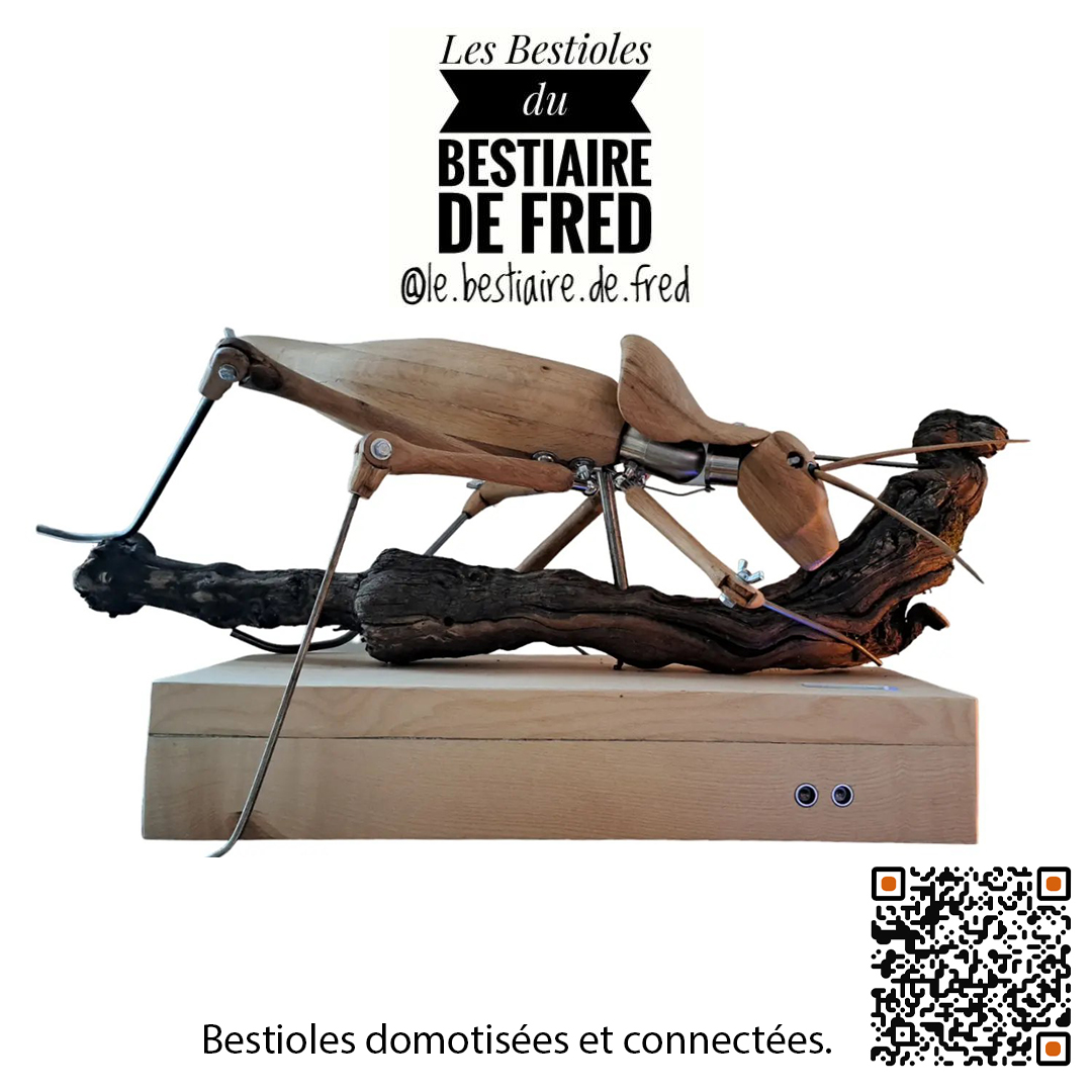 "Bestiole Sculptée en Chêne par Frédéric Tabary, Art et Domotique Intégrée"